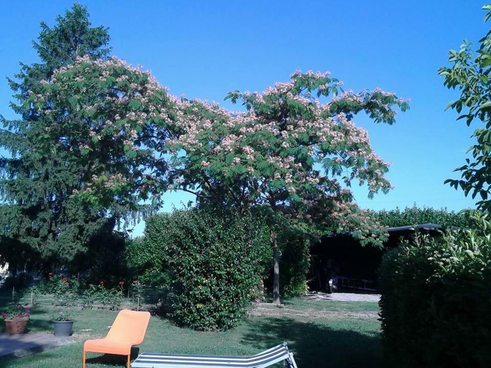 Residenza Gavioli Via Angelelli - Parco Navile Castel Maggiore Exteriér fotografie
