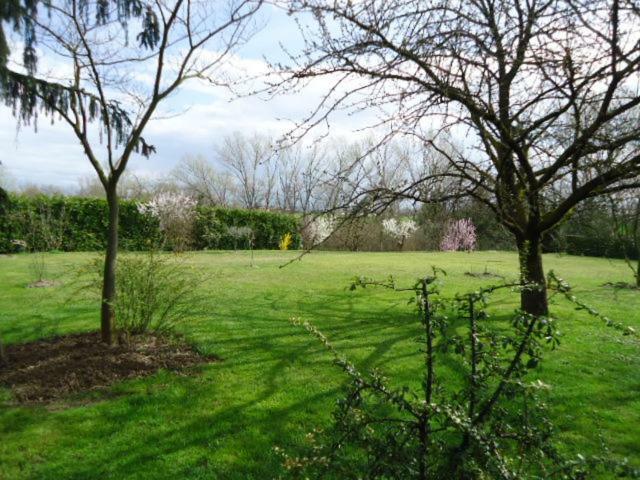 Residenza Gavioli Via Angelelli - Parco Navile Castel Maggiore Exteriér fotografie